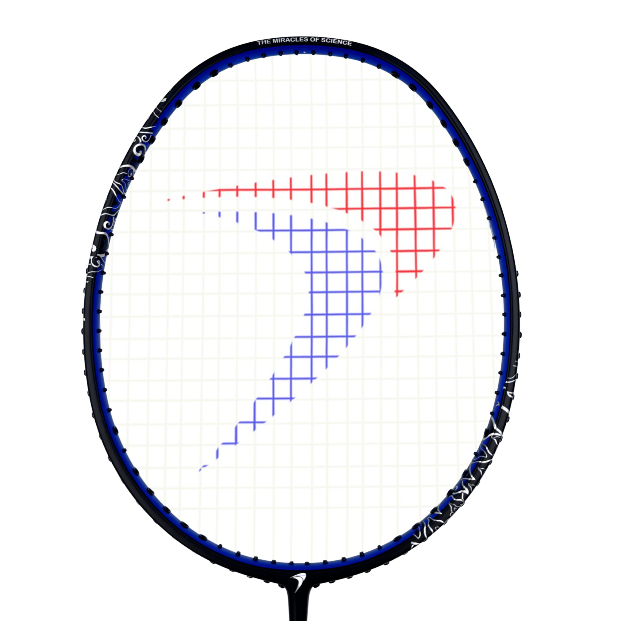 Badminton ketcher - Flypower Enigma 900-V3 I SportYouUp